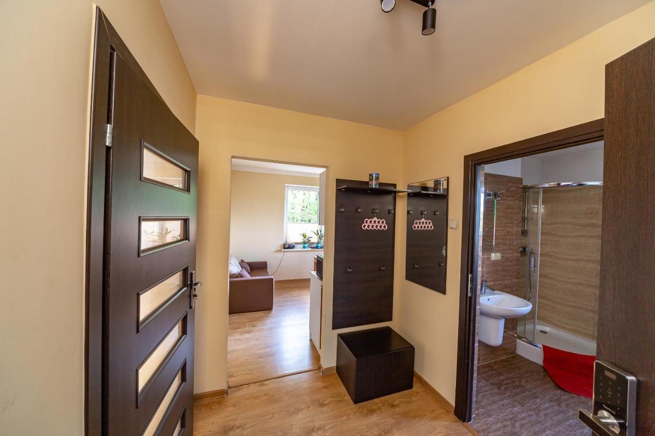Żywiec Apartament Natalia מראה חיצוני תמונה