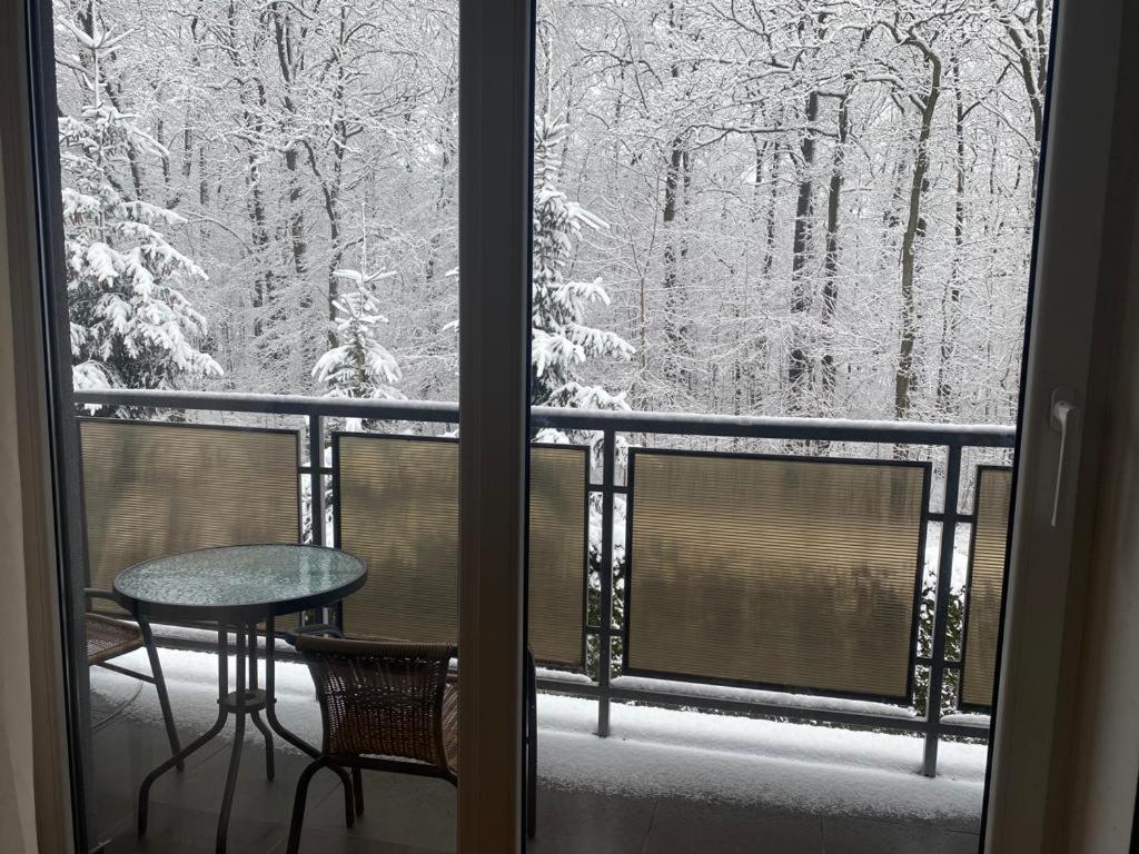 Żywiec Apartament Natalia מראה חיצוני תמונה
