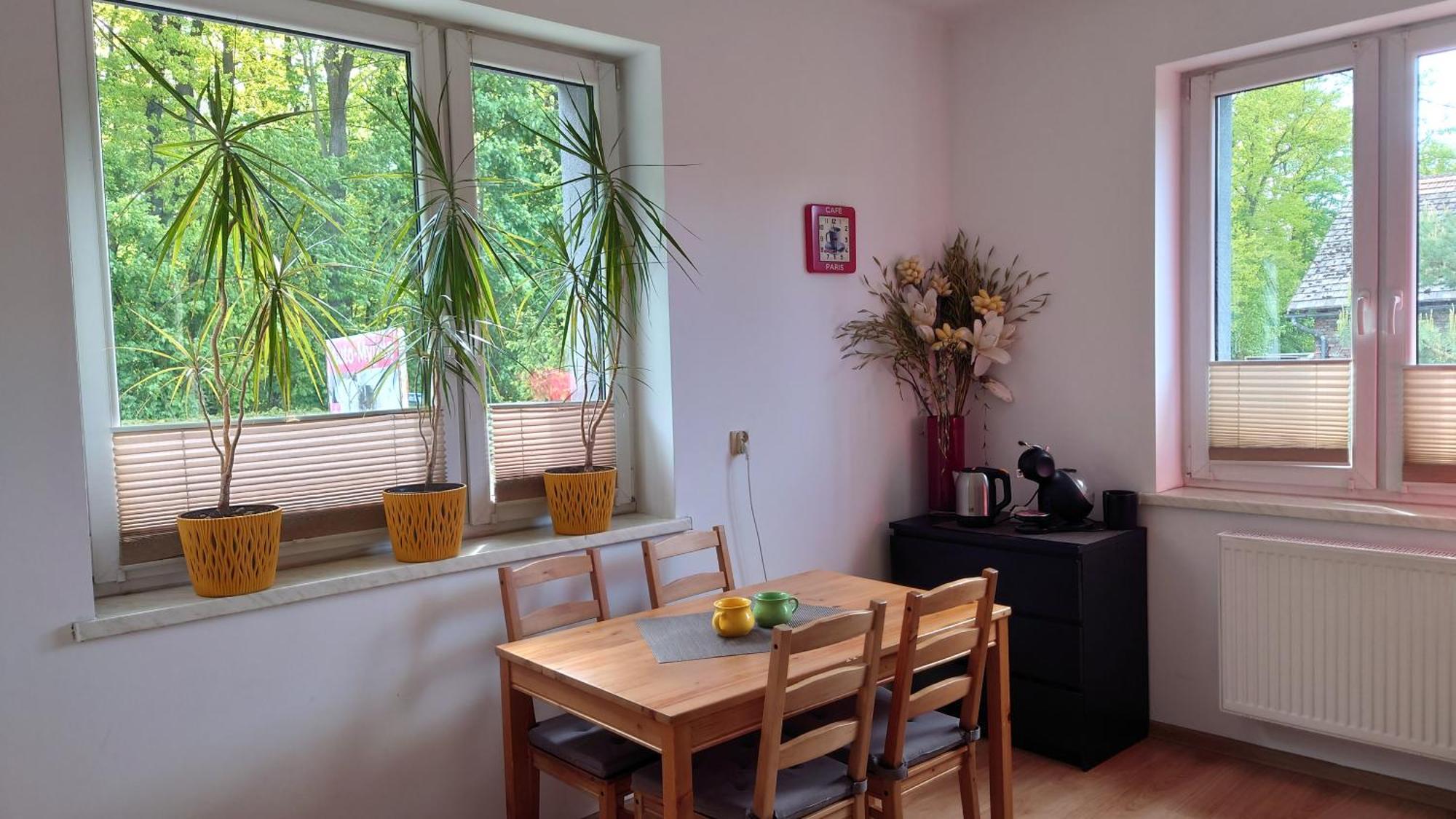 Żywiec Apartament Natalia מראה חיצוני תמונה